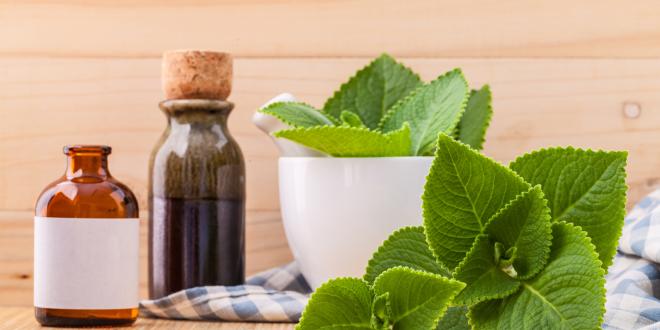 Borage. GLA source to reduce inflammation.